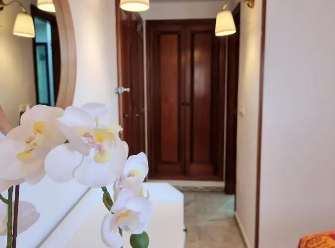 De Don Huberto, Locos Torrevieja