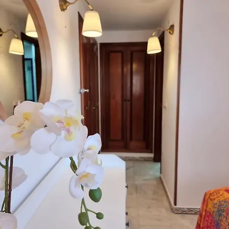 De Don Huberto, Locos Torrevieja